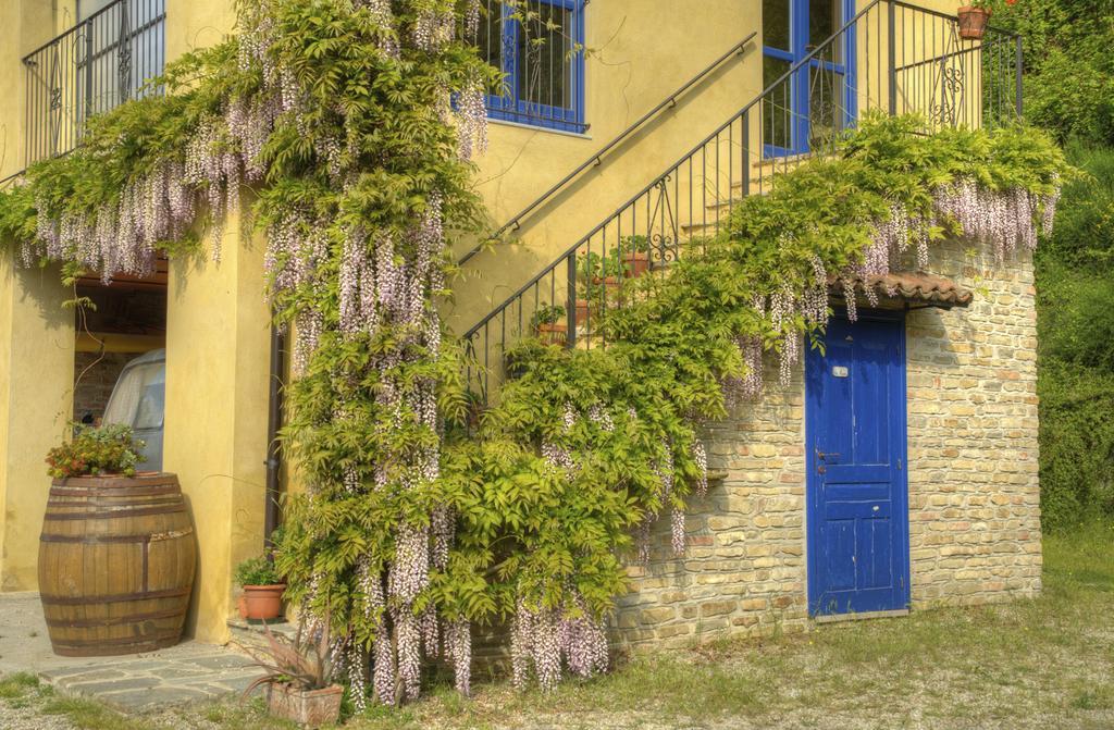 B&B Il Sole Delle Rive 시니오 외부 사진